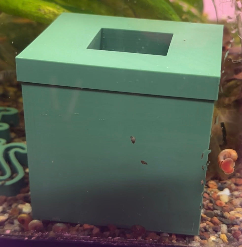 Snail trap for aquarium