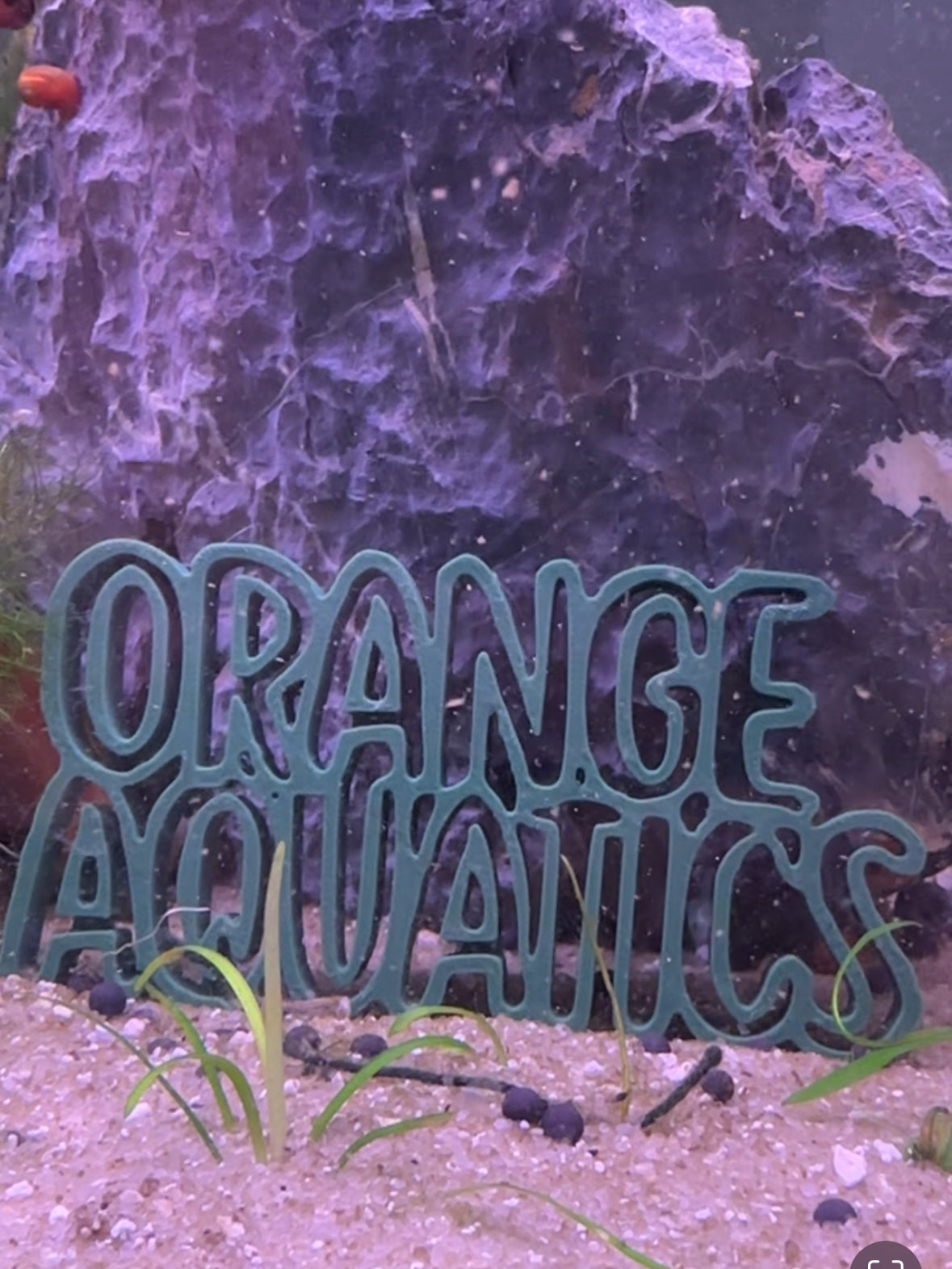 Large custom text aquarium sign