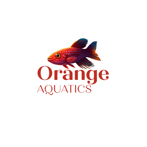 Orange Aquatics