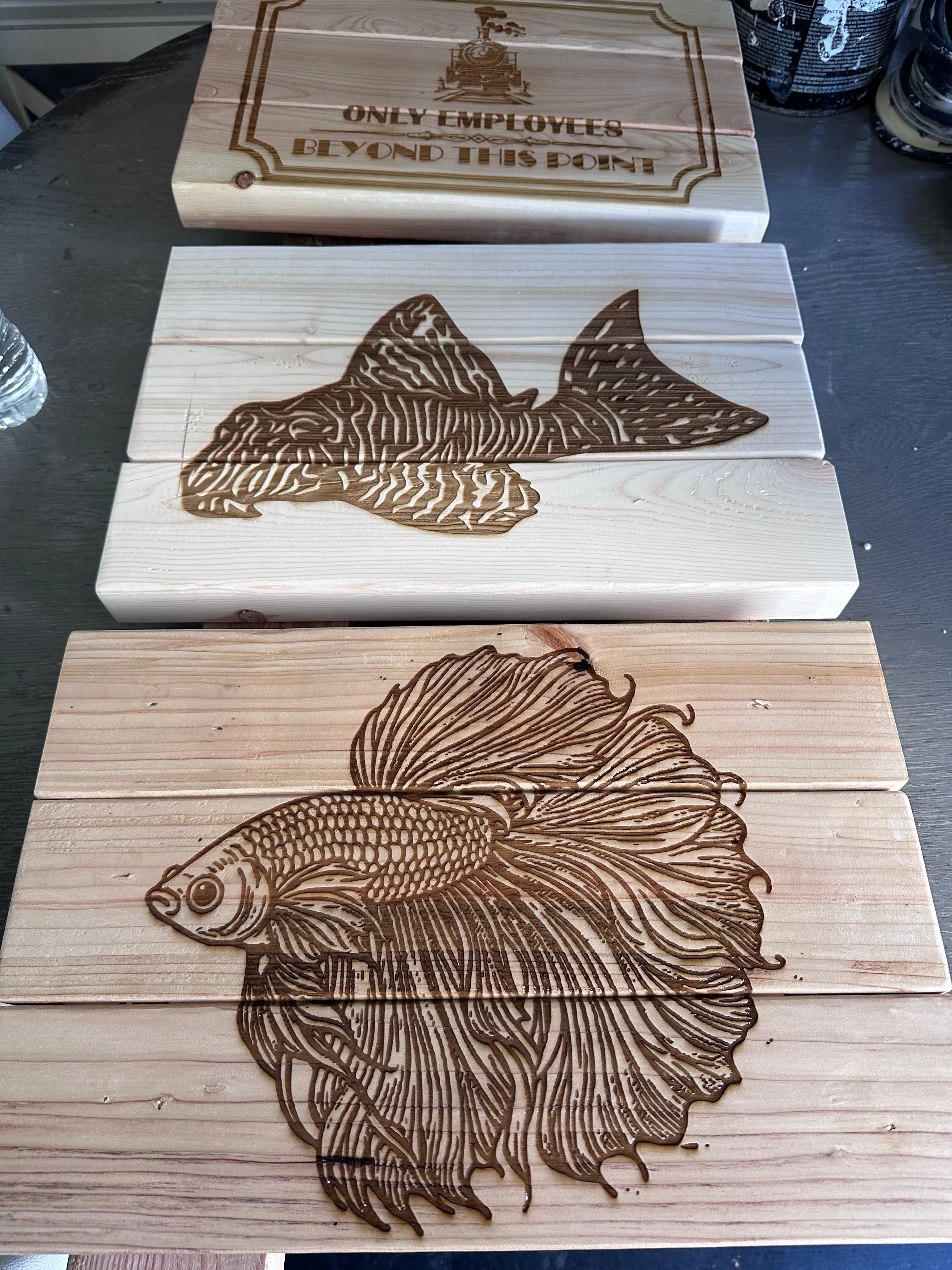 Collections – Orange Aquatics