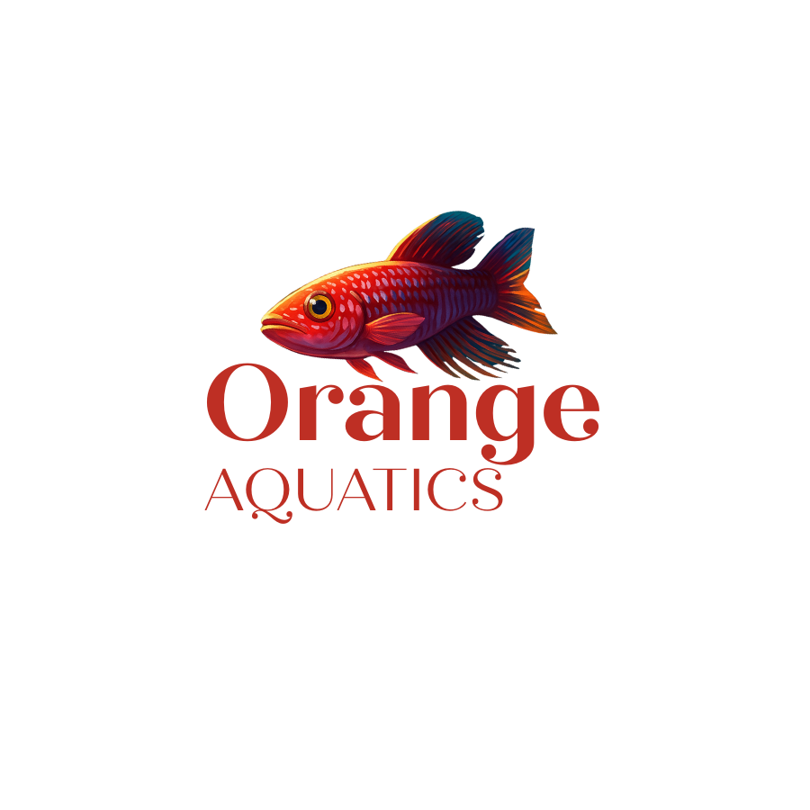 Custom made Aquarium decor
