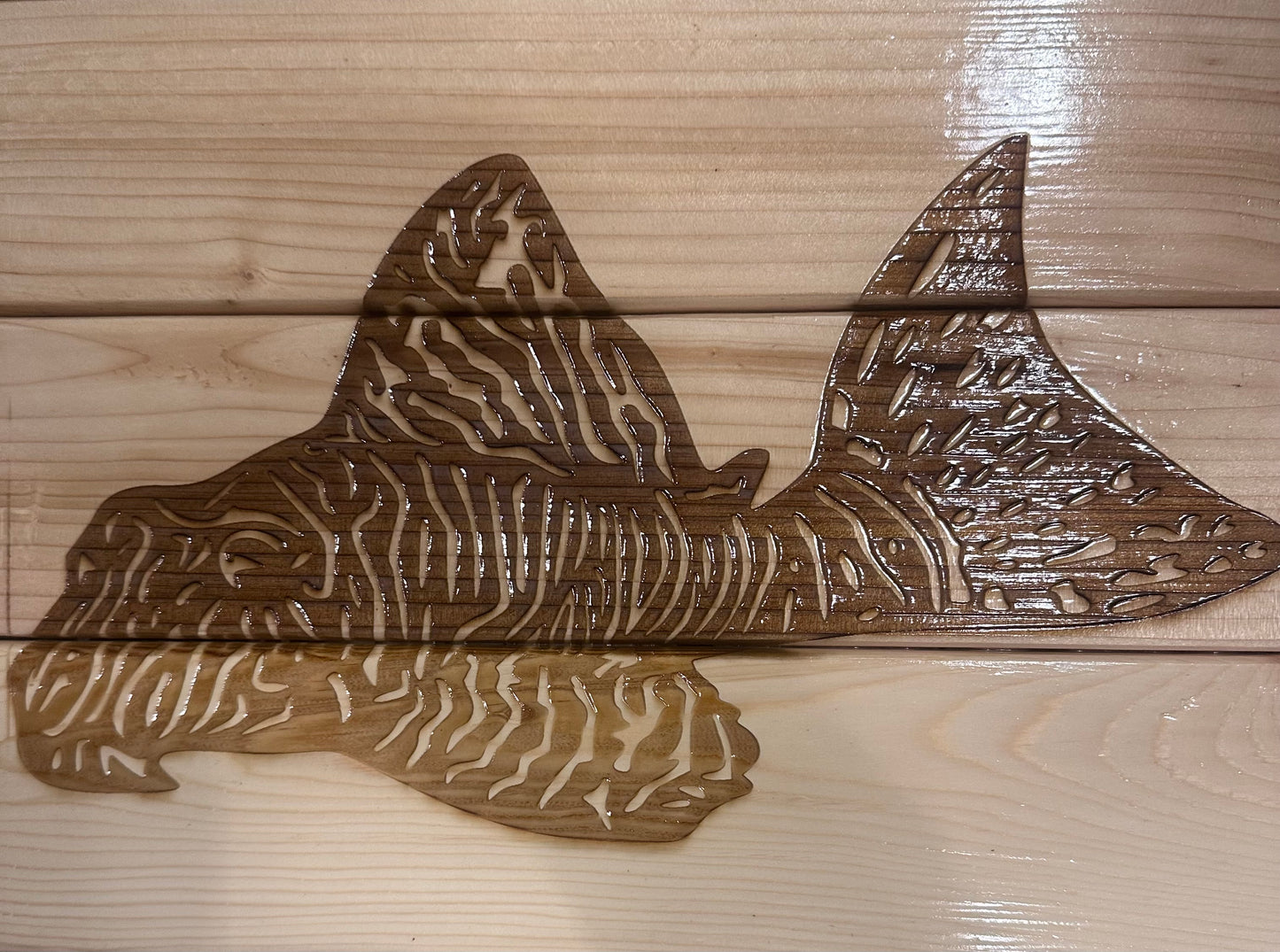 Pleco art on wood. One of a kind handmade artwork  shipping included