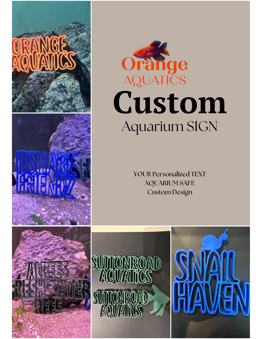 Custom design fish tank decoration 5”