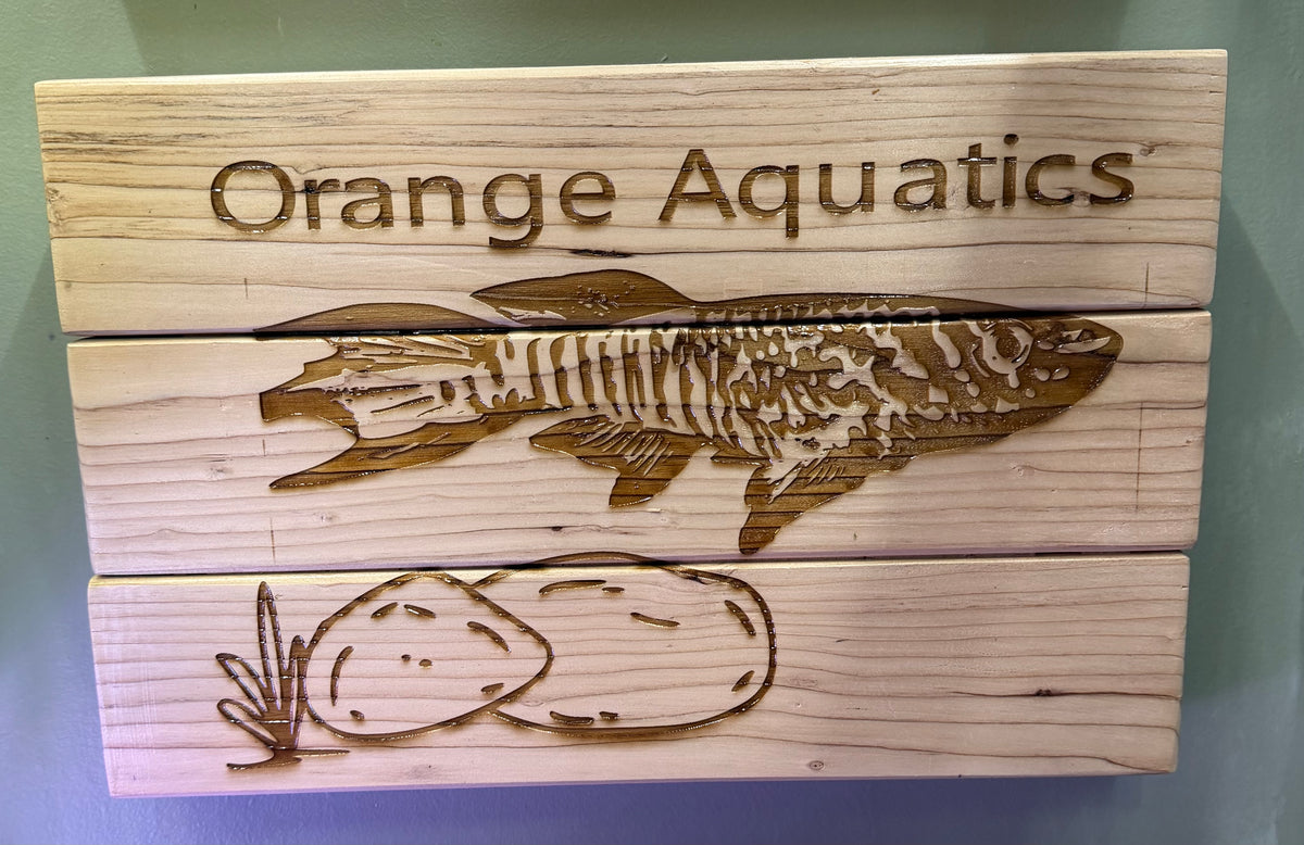 Custom wood sign.  Your logo. Your name. Your fish. Whatever.