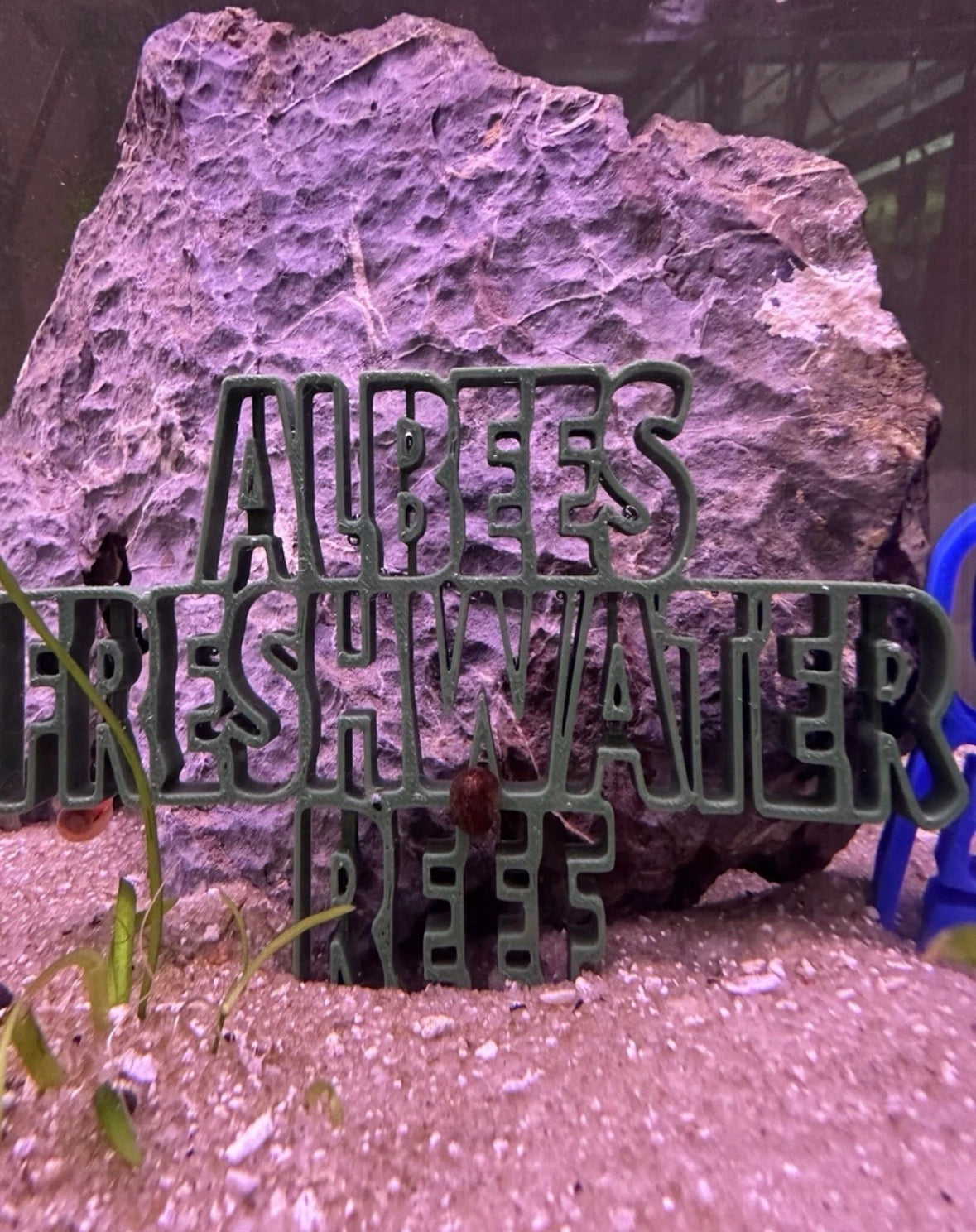 Custom design fish tank decoration 5”
