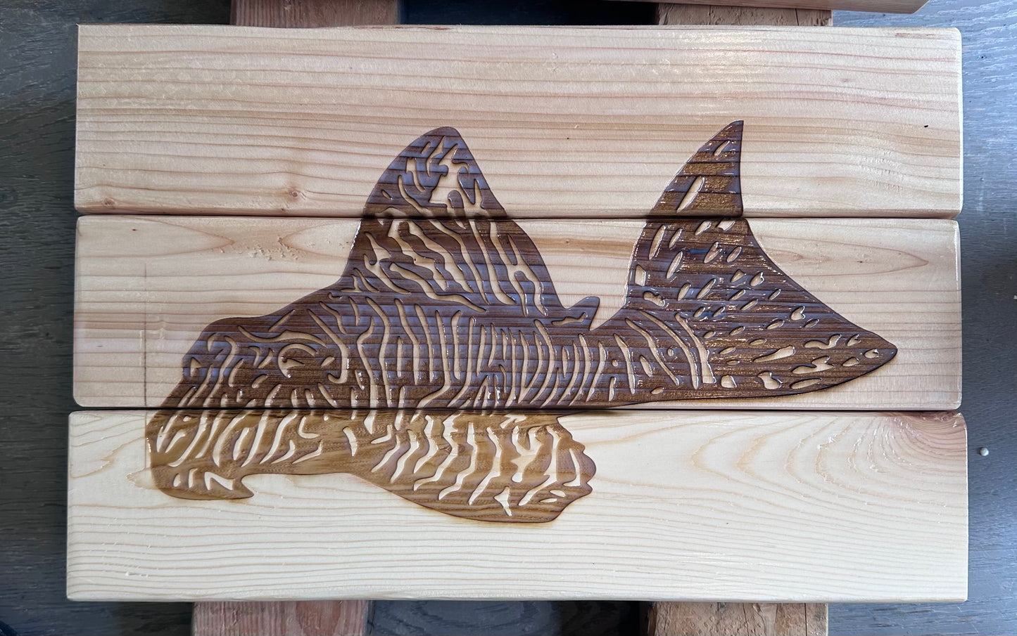 Pleco art on wood. One of a kind handmade artwork  shipping included