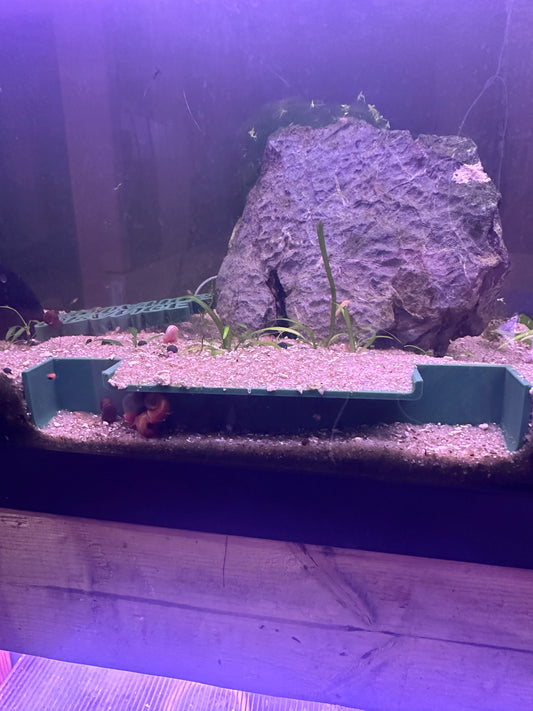 Underground aquarium tunnel cave free shipping