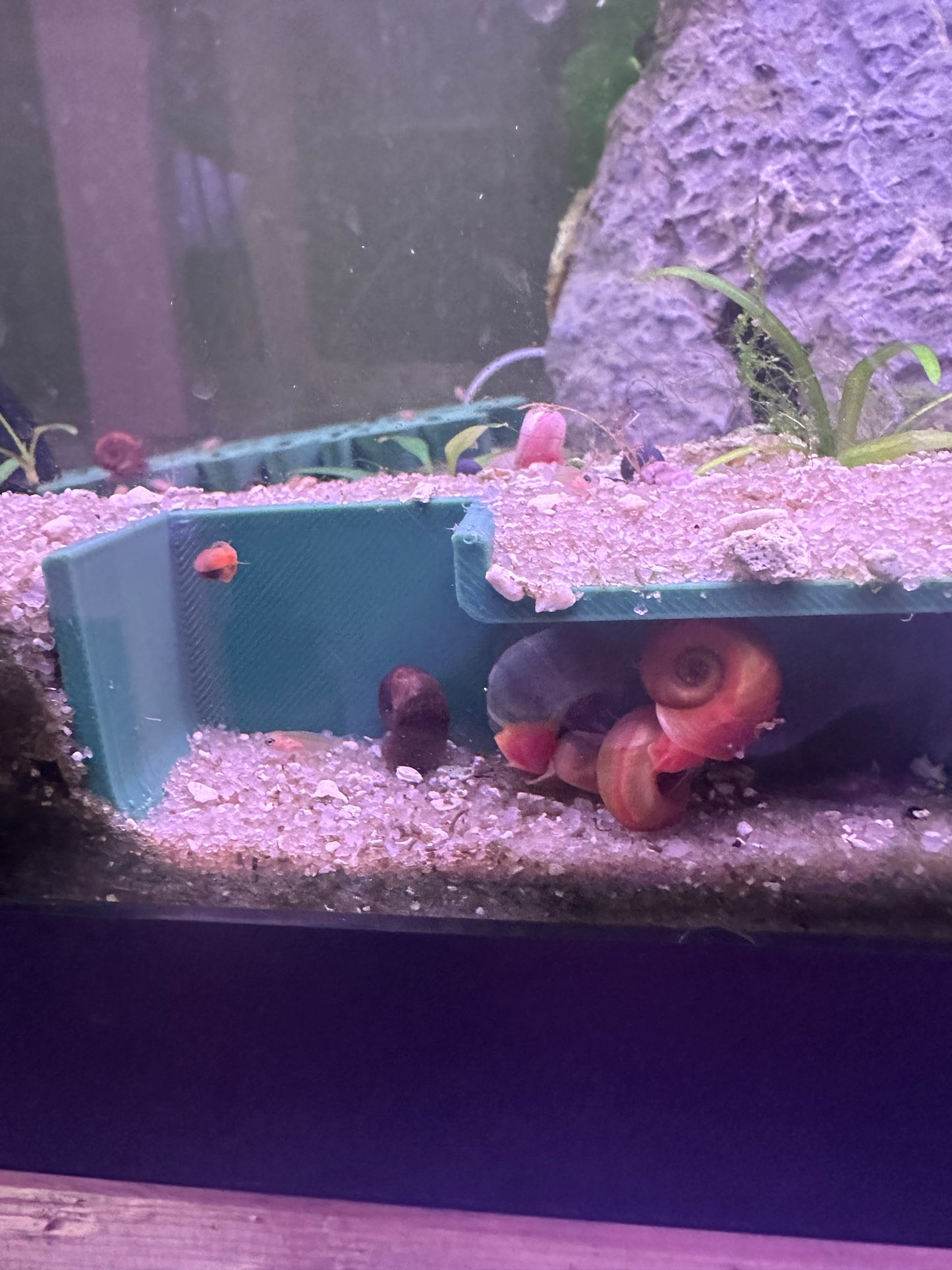 Underground aquarium tunnel cave free shipping